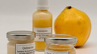 The new winter collection with ‘green cosmetics’