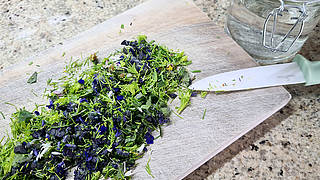 Herbal walk with ointment making