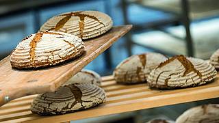 Bread baking special at Retter BioGut