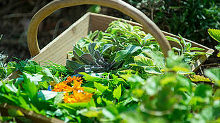 The Art of Distilling